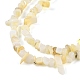 Нити бусин из натуральных пресноводных ракушек BSHE-G036-02-3