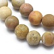 Natural Fossil Coral Beads Strands G-I254-01B-3