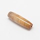 Natural Fossil Coral Beads G-P076-30-2