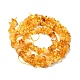 Natural Amber Chip Beads Strands G-E271-81A-2