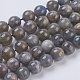 Natural Labradorite Beads Strands X-G-G212-10mm-23-1