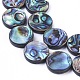 Brins de perles de coquille d'ormeau/paua BSHE-L043-10-2
