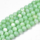 Eau douce naturelle de coquillage perles brins SHEL-N003-24-B03-1