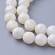 Chapelets de perles de coquillage SSHEL-E571-38-10mm-1