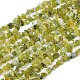 Natürliche Jade Chip Perlen Stränge&nbsp;G-B160-B02-2
