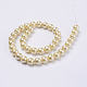 Wrinkle Textured Shell Pearl Beads Strands X-BSHE-E016-12mm-04-2