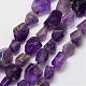 Natural Amethyst Beads Strands G-P184-05-1