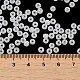 Perles de rocaille en verre SEED-H002-E-A141-4