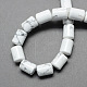 Natural Gemstone Howlite Stone Column Beads Strands G-S115-19-2