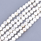 Chapelets de perles en coquille d'eau douce  SHEL-S276-15B-1