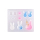 Moules en silicone à thème lapin DIY-L014-13-4