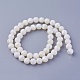 Chapelets de perles de coquillage SSHEL-E571-39-8mm-2