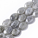 Natural Labradorite Beads Strands G-S359-001B-1