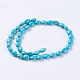 Synthetic Turquoise Beads Strands G-E456-30A-2