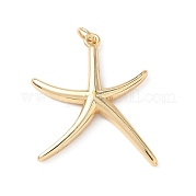 Латунные подвески KK-L239-006G