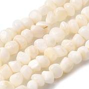 Нити бусин из натуральных пресноводных ракушек SHEL-B003-05