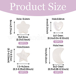 40шт 4 стиля натуральные бусины из пресноводных ракушек&nbsp;SHEL-TA0001-15