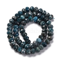 Perline apatite naturale fili&nbsp;G-K380-A22-01