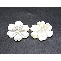 Fiori naturali perline bianche shell&nbsp;SSHEL-P015-05