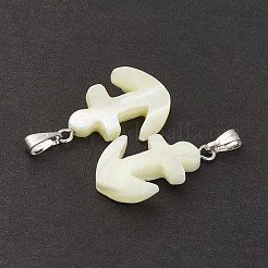 Натуральная ракушка трохида / подвески из ракушки трохуса SSHEL-K027-13