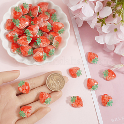 Кабошоны из непрозрачной смолы&nbsp;DIY-SC0028-30A