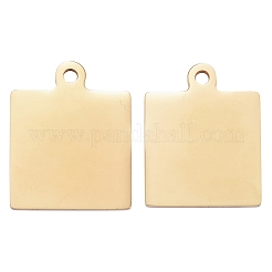 Pendentifs en acier inoxydable 304&nbsp;LS-STAS-I140-23B-G