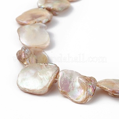 Abカラーメッキ天然淡水シェルビーズ連売り  菱形  16.5~22x15~25x3~13mm  穴：1mm  約19~20個/連  15.43~15.87インチ（39.2~40.3cm）&nbsp;X-BSHE-G033-03B