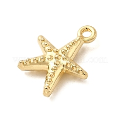 Подвески из нержавеющей стали 304 STAS-B103-02C-G