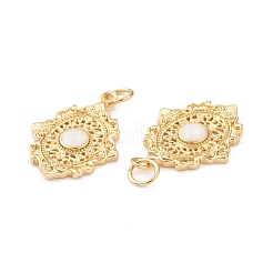 Кулоны из экологически чистой латуни с эмалью&nbsp;KK-I698-06A