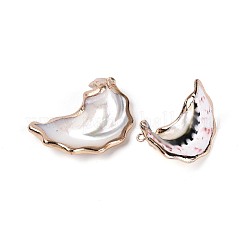 Galvanisierte Anhänger aus natürlichen Muscheln&nbsp;SSHEL-T018-19