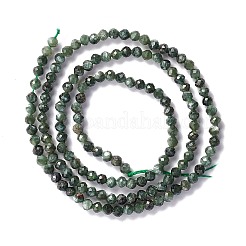 Naturperlen Stränge SERAPHINITE&nbsp;LS-G-A021-07B