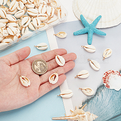 100 шт. подвески из натуральной ракушки каури FIND-PH0021-26