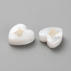 5шт натуральные белые бусины из ракушек BSHE-TAC0004-02J