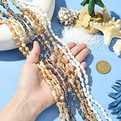 4 нить 4 цвета натуральные пресноводные ракушки бусины нити&nbsp;SHEL-CJ0001-38