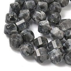 Натуральные нити бус из ларвикита&nbsp;G-C267-B24