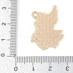 Подвески из сплава &nbsp;ENAM-R004-03KCG-05