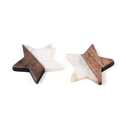 Подвески из смолы и ореха RESI-T057-37M