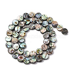 Природные пауа бусы нити&nbsp;BSHE-ZX006-09C