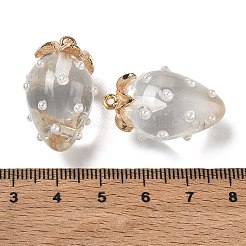Harzanhänger&nbsp;FIND-C096-A-01G-09