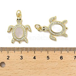 真鍮製マイクロパヴェキュービックジルコニアペンダント  カドミウムフリー＆鉛フリー  シェルと  18KGP本金メッキ  カメ  23x18.5x3mm  穴：3.5mm&nbsp;KK-K365-11B-G