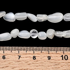 Натуральный белый лунный камень бисер пряди G-P601-A18-02