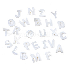 26шт 26 стиля натуральных пресноводных бусин из ракушек SHEL-S278-072