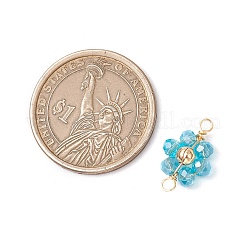 7 шт. 7-цветные гальванизированные прозрачные стеклянные граненые рондель и латунные круглые бусины-цветочки-подвески&nbsp;PALLOY-JF03466