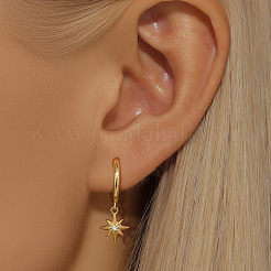 Boucles d'oreilles pendantes créoles en acier inoxydable 304 serties de micro-pavés de zirconiums cubiques pour femmes&nbsp;MS6210-4