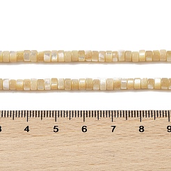 Нити бусин из натуральных трохоидных/трохус ракушек BSHE-H018-02