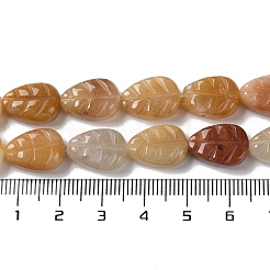 天然石トパーズ翡翠ビーズ連売り  葉  14~14.5x10~10.5x5.5~6mm  穴：1.2mm  約15個/連  8.43''（21.4センチメートル）&nbsp;G-M418-A01-01