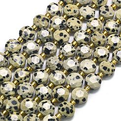 Природные яшмы далматин бисер нитей G-C116-A31-02