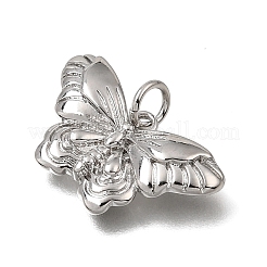 Messing Anhänger & Charms&nbsp;KK-N290-24P