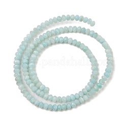 Hebras de cuentas teñidas de concha natural de agua dulce&nbsp;SHEL-R100-13A-02