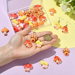 30pcs 5 styles de pendentifs en résine&nbsp;RESI-CJ0005-20